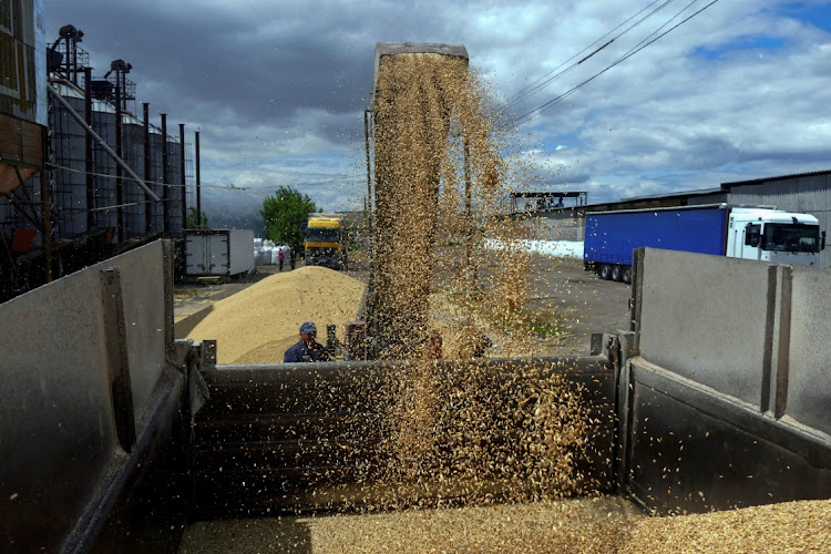 A worker loads a truck with grain at a terminal during barley harvesting in Odesa, Ukraine, June 23 2022. Picture: IGOR TKACHANKO/REUTERS