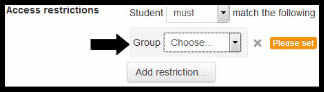 Access Restrictions Group.jpg