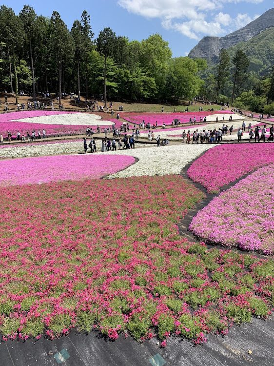 の投稿画像3枚目