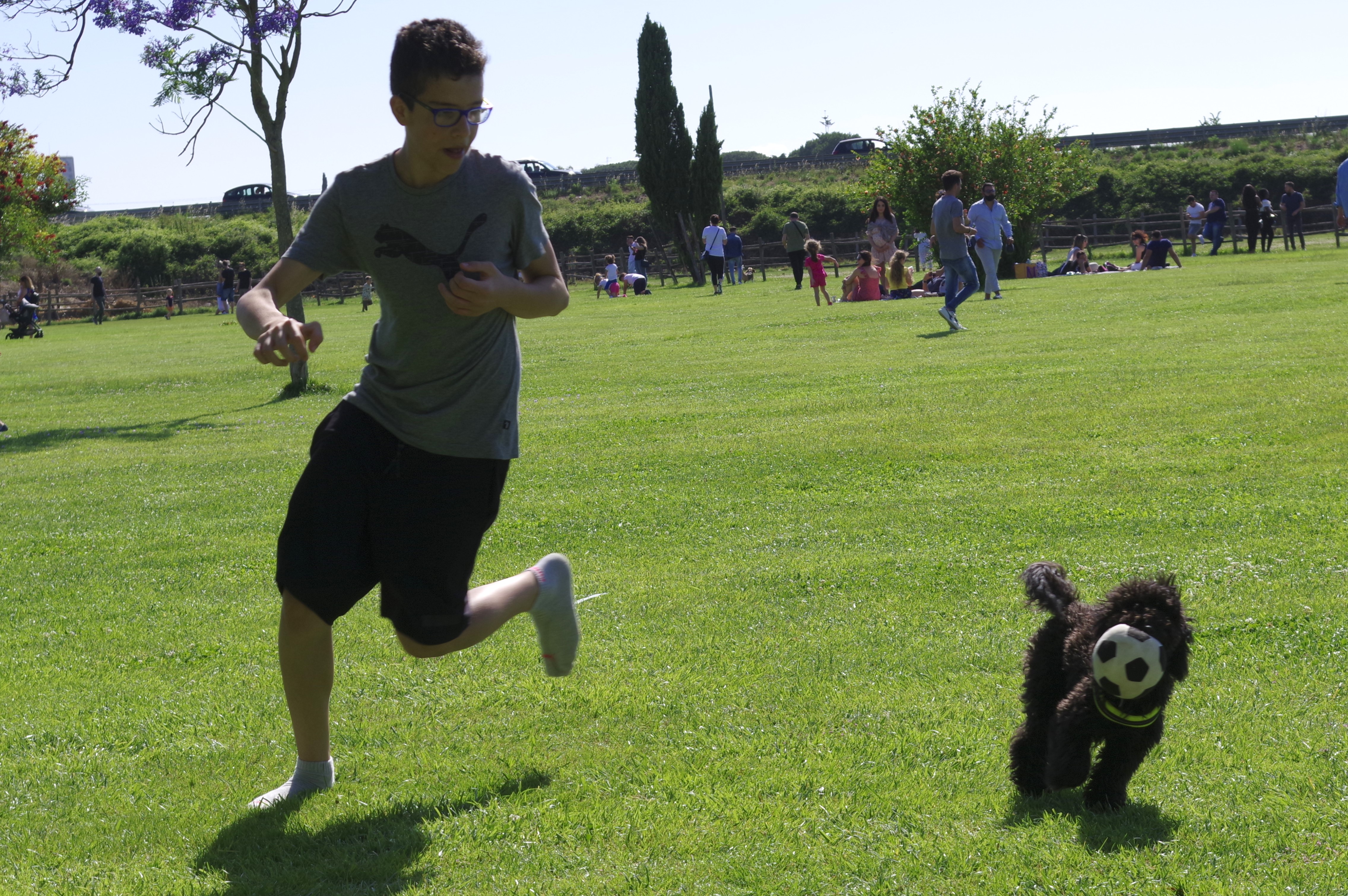 Che bello correre libero.... di GV