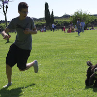 Che bello correre libero.... di GV