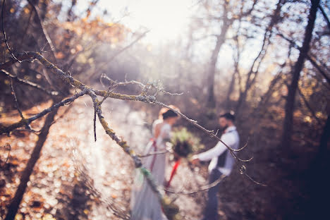 Fotógrafo de casamento Mikhail Savinov (photosavinov). Foto de 1 de dezembro 2016