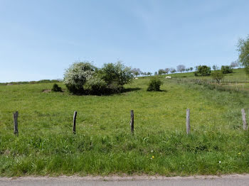 terrain à Sarre-Union (67)