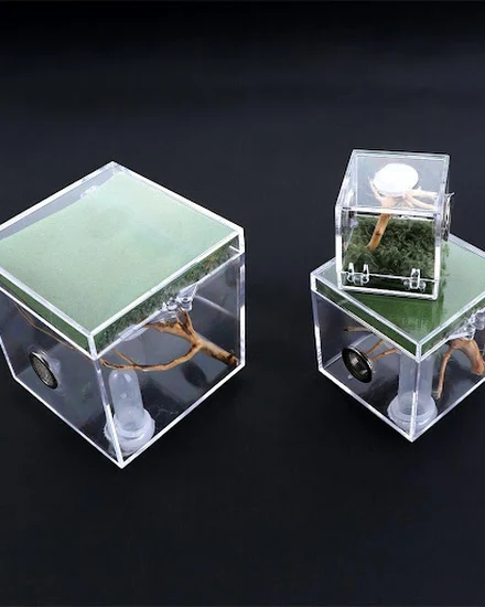 1set Spider Ant Insect Feeding Box Breathable Terrarium T... - 3