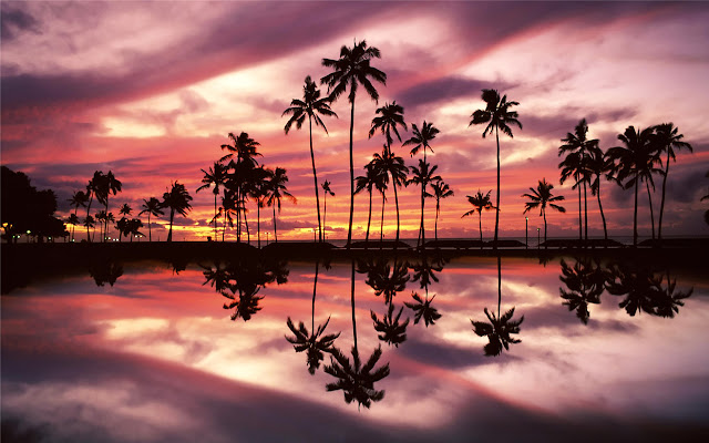 Hawaii Beach  Themes & New Tab