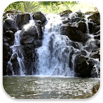 Cover Image of 下载 Real Nature Live Wallpaper 1.0 APK