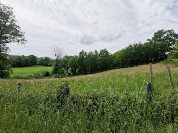 terrain à Malemort-sur-Corrèze (19)