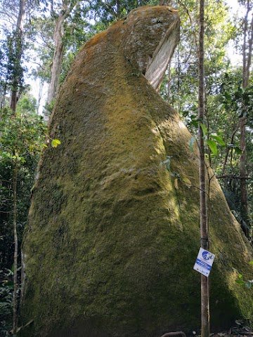 Mount Pulai Giant Rock