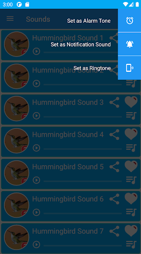Hummingbird Sounds