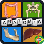 Cover Image of 下载 Quiz Anatomia em português 7.3.3z APK