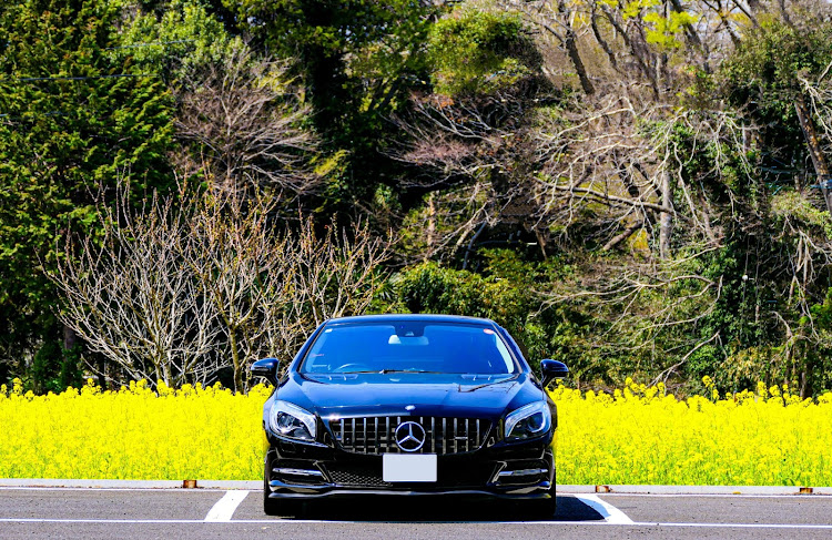 SLのオープンカー・SL・花と愛車・麻賀多神社・ゴーストフィルムに関するカスタム事例の投稿画像1枚目