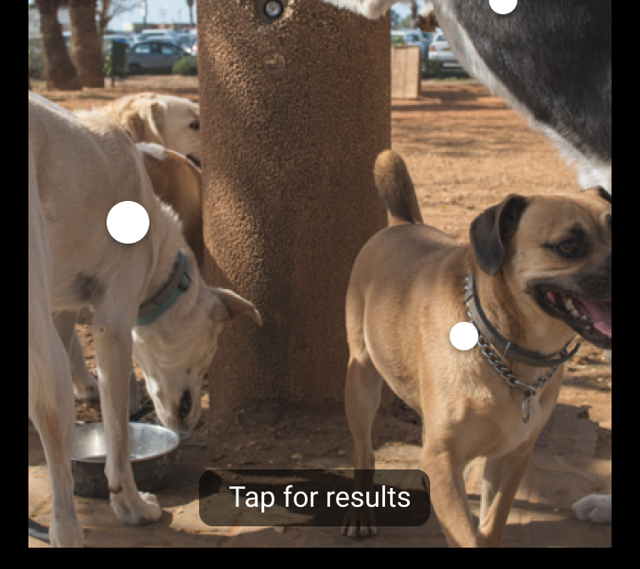 Object detection: static image - 图11