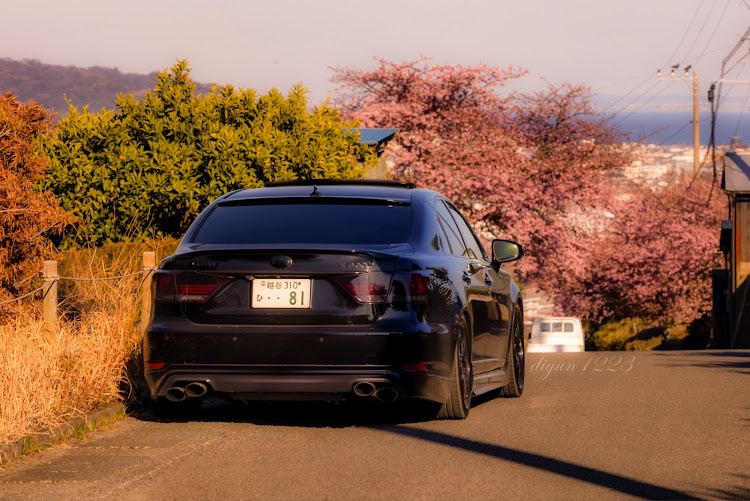 LSの200mm f1.8l・Bokeh Photography・河津桜・小田原・相模湾に関するカスタム事例の投稿画像1枚目