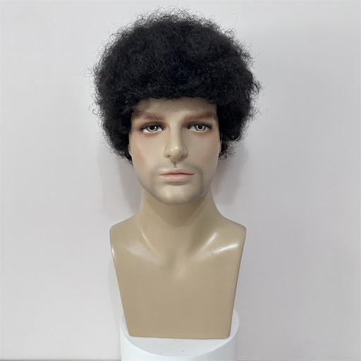 Title 2, Human Hair Short Curly Afro Wigs for Men and Wo...