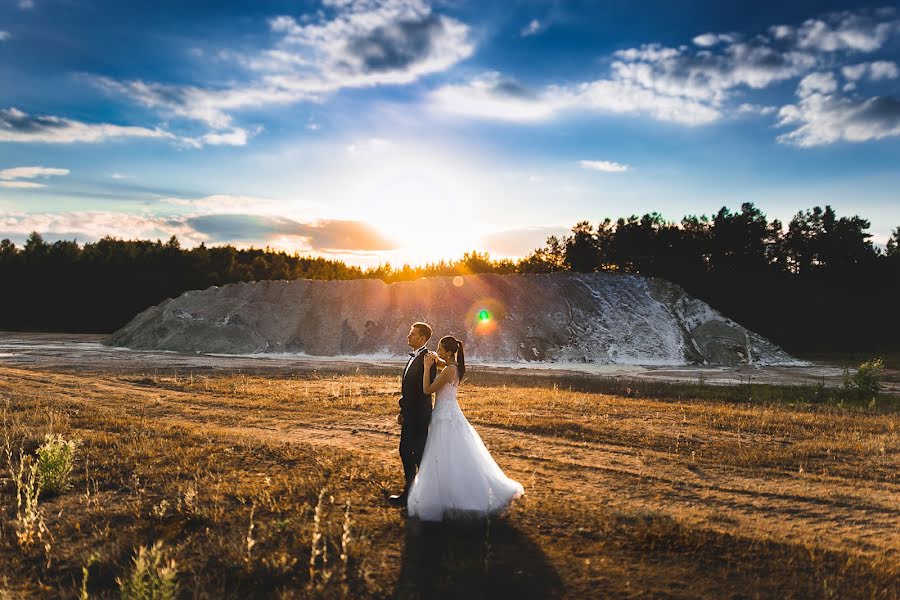 Wedding photographer Lubov Lisitsa (lubovlisitsa). Photo of 10 June 2016