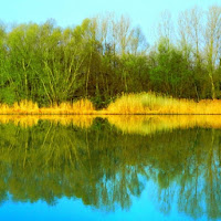 La cornice d'oro del fiume di 