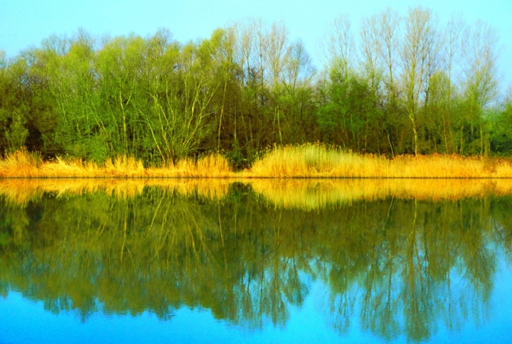 La cornice d'oro del fiume di si