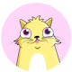 CryptoKitties KittyExplorer.com Extension