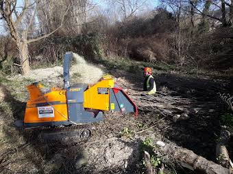 Tree Removal album cover