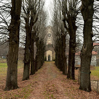 In fondo al viale, tra alberi spogli di 