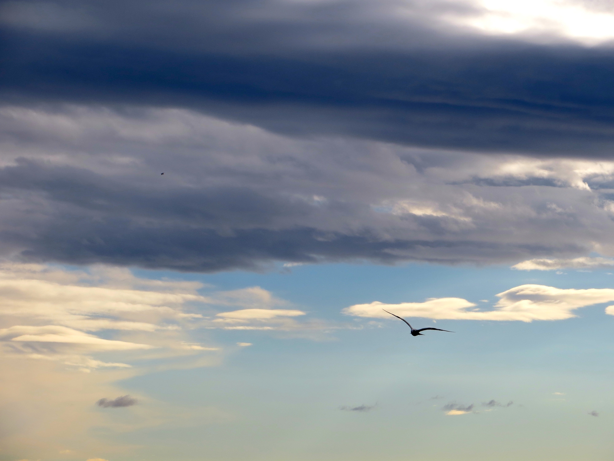 volo libero di mariellaturlon