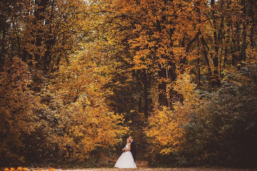 Photographe de mariage Oleg Roganin (roganin). Photo du 28 décembre 2016