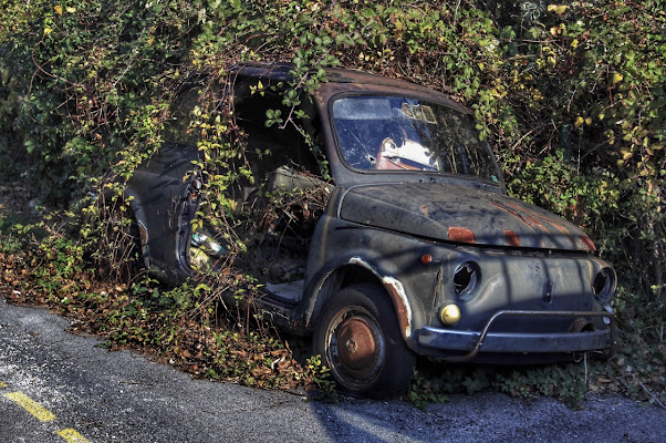 Natura su ruote di manuel_scandale