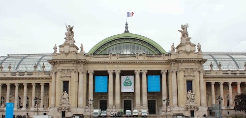 MARTES 28 DE MAYO.  ARCO DEL TRIUNFO, CAMPOS ELÍSEOS Y TORRE EIFFEL - PARÍS Y EURODISNEY EN PRIMAVERA (13)