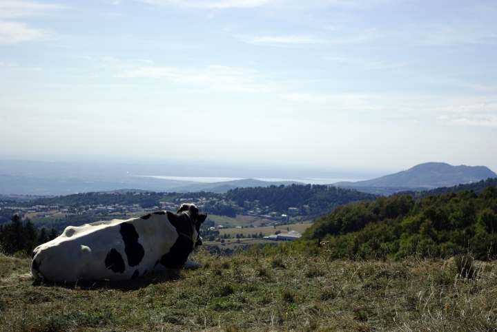 Guardiamo insieme il lago di Garda di sergio71