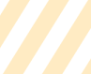 「報告―参加型について」のメインビジュアル