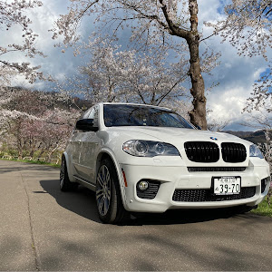 X5 xDrive 35i