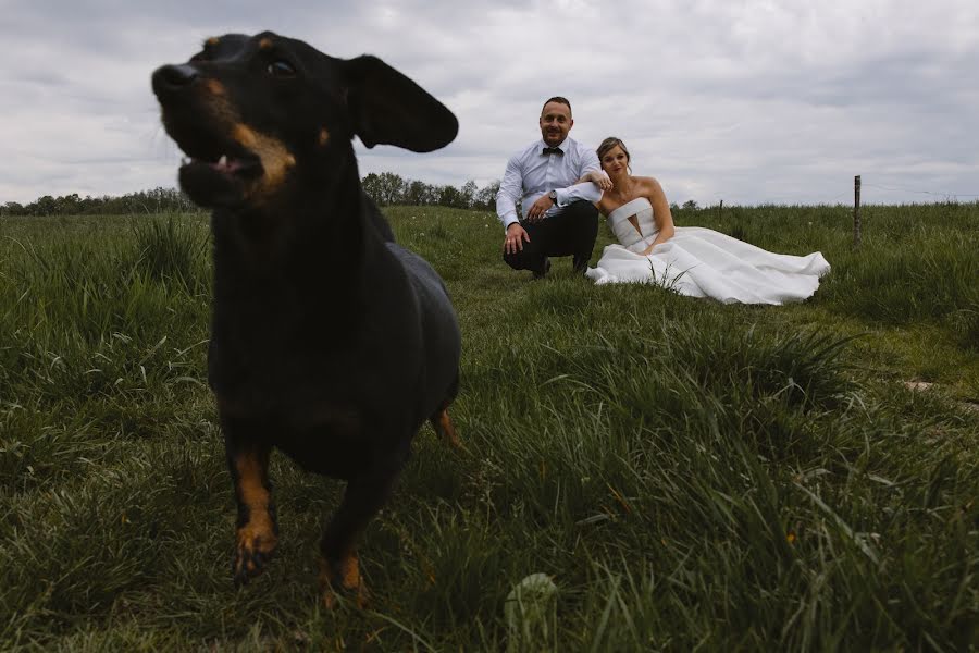 Fotógrafo de casamento Mateusz Majdosz (mmajdosz). Foto de 14 de maio 2023