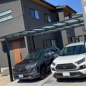 RAV4 AXAH54