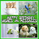 Download Birthday Wishes & Messages For PC Windows and Mac