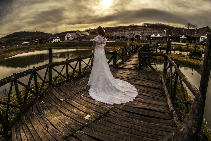 Fotógrafo de casamento Gábor Badics (badics). Foto de 24 de fevereiro 2016