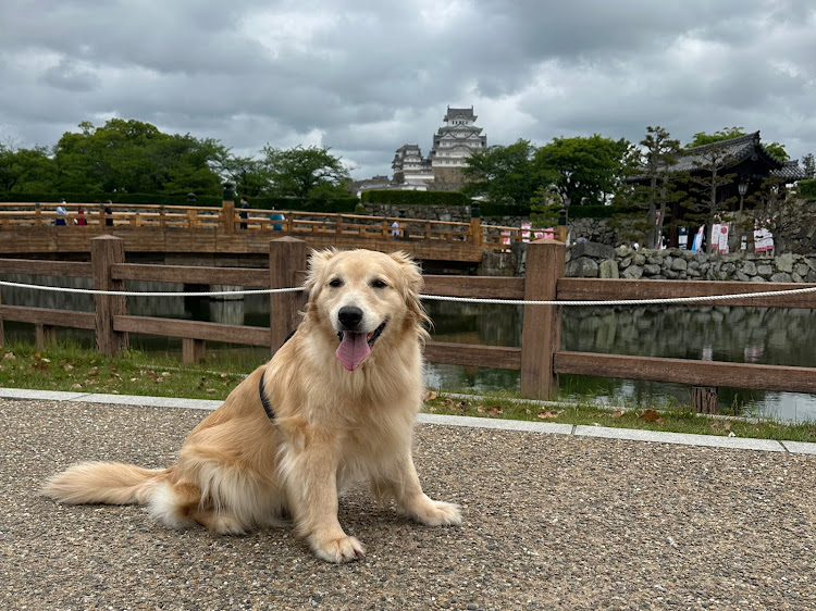 の投稿画像15枚目