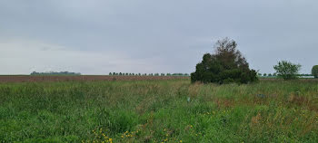 terrain à Rebais (77)