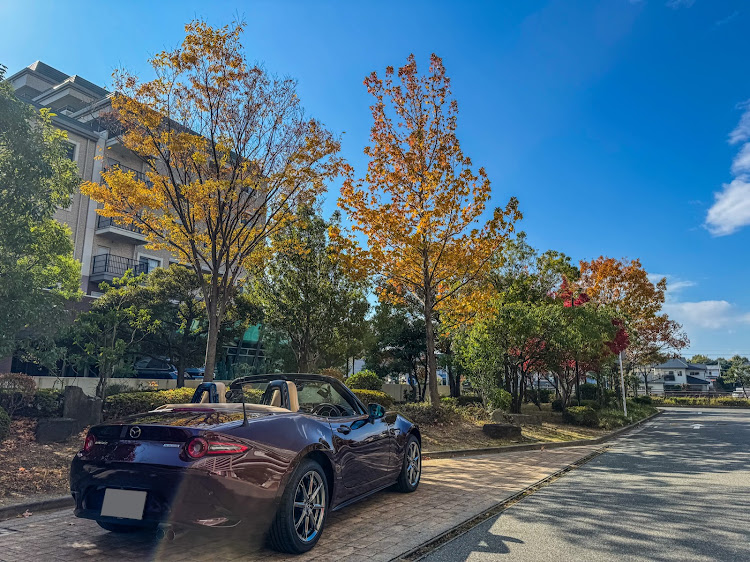 ロードスターのオープンカー・ロードスターND・紅葉・ベストショット・カッコカワイイ愛車に関するカスタム事例の投稿画像2枚目