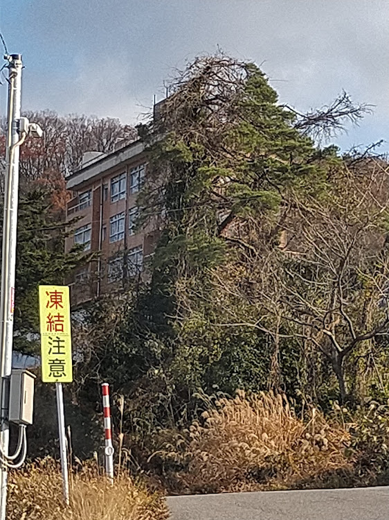 レヴォーグの赤はいいぞ・ダム巡り・富山・海の駅 蜃気楼に関するカスタム事例の投稿画像6枚目