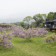 紫藤咖啡園