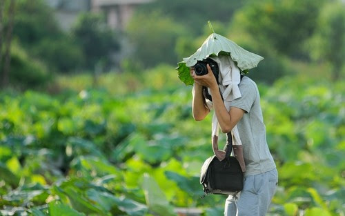 Hồ Tây vẫn hút giới trẻ Hà thành dù sen mất mùa 8