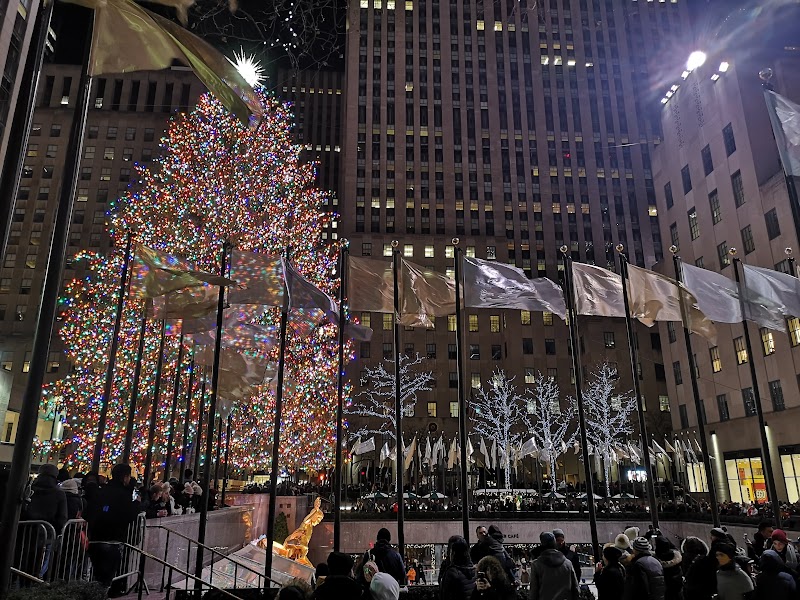 Brooklyn alternativo y decoraciones navideñas del Midtown - Nueva York en Navidad. Diciembre 2019 (41)