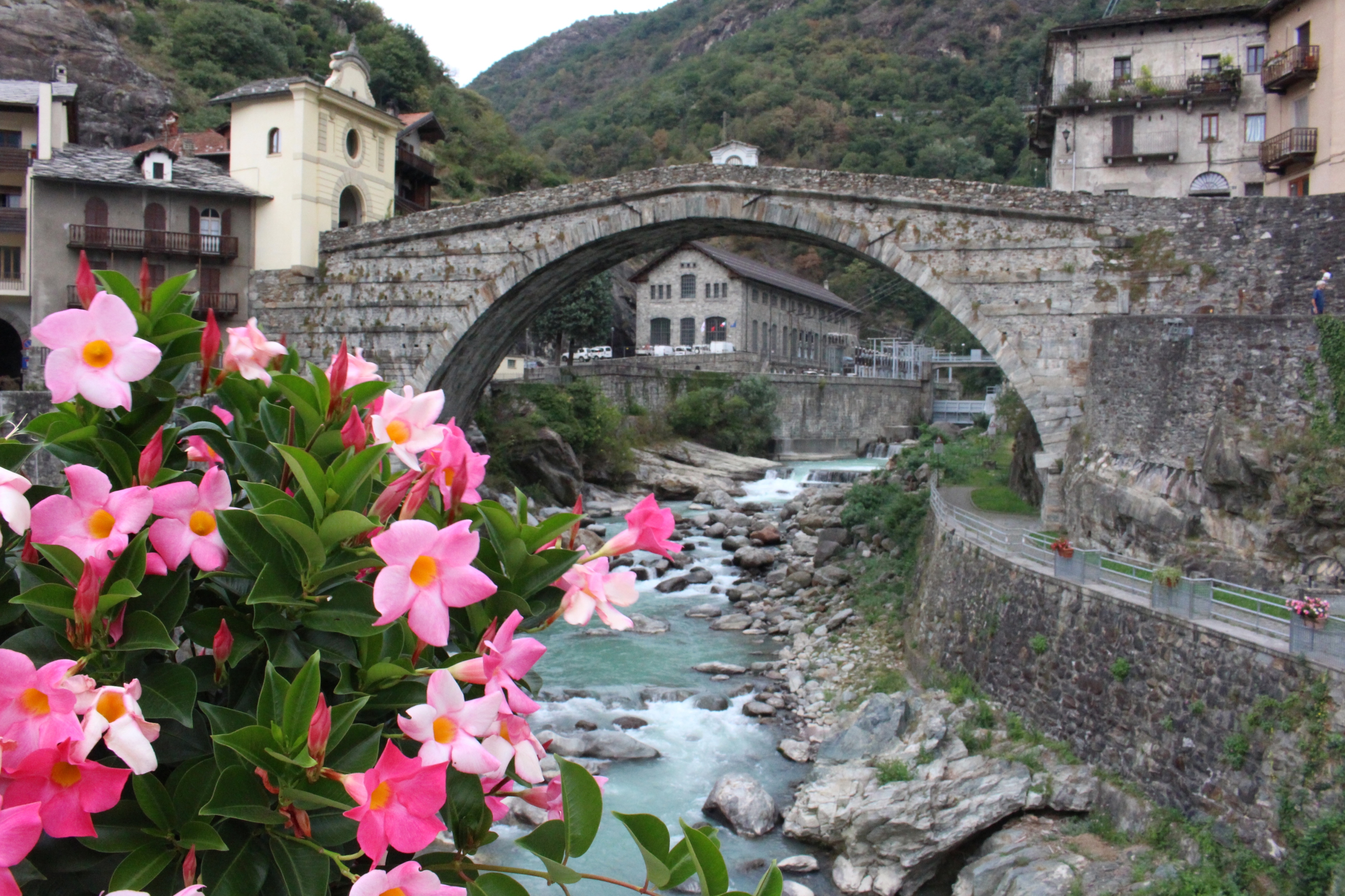 Flowers on the bridge di Simone