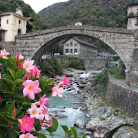 Flowers on the bridge di 