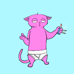 Blazed Cat #2903
