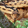 Angry Anaconda Snake Attack Simulator 2K18 icon