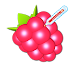 RasPi Check1.8.13