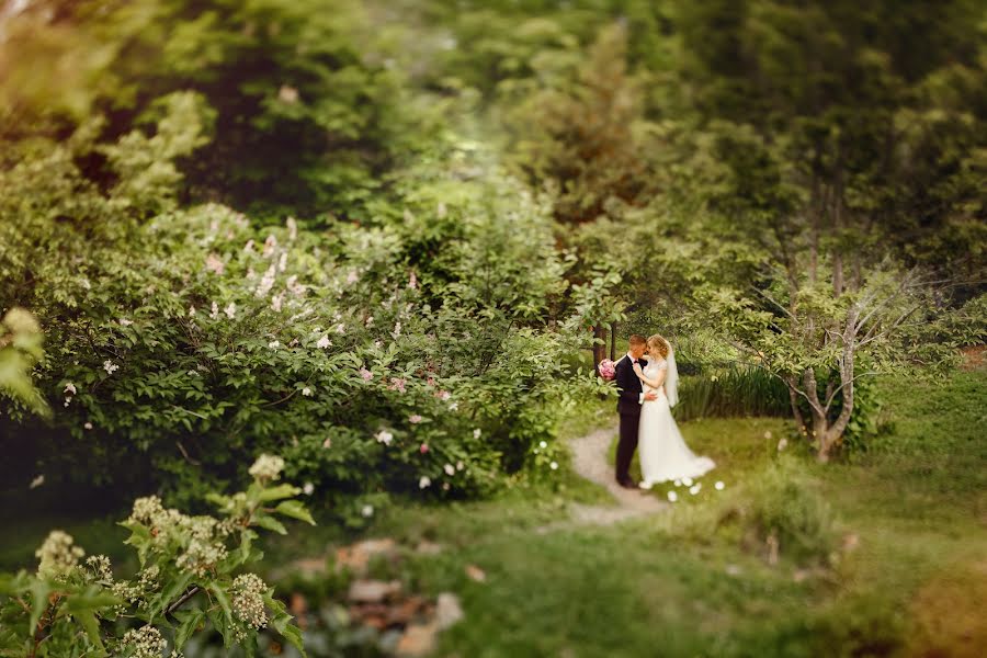 Весільний фотограф Алексей Козлов (kozlove). Фотографія від 6 листопада 2015