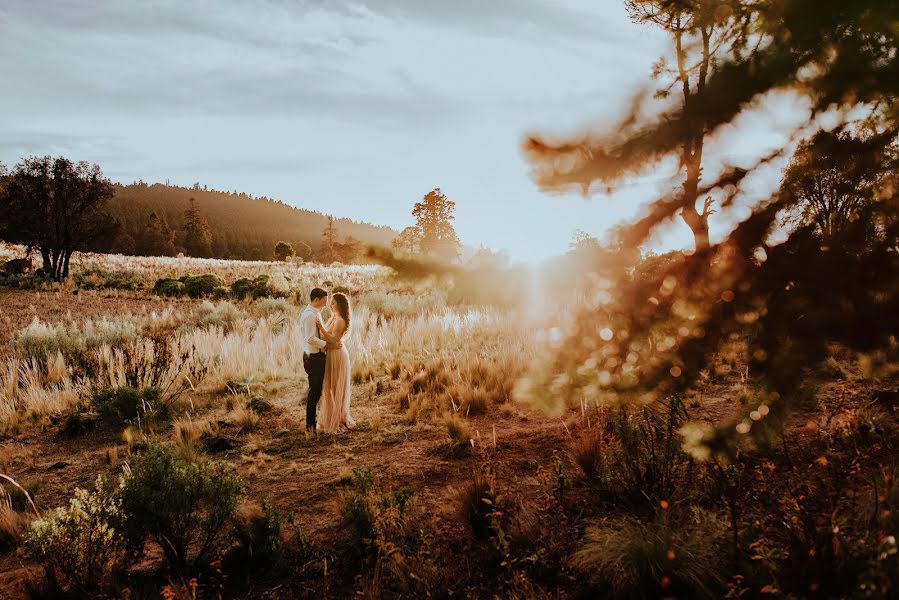 Photographe de mariage Edel Armas (edelarmas). Photo du 21 décembre 2017