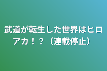 武道が転生した世界はヒロアカ！？（連載停止）